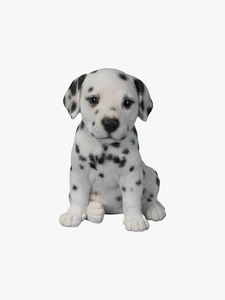 Demo product title